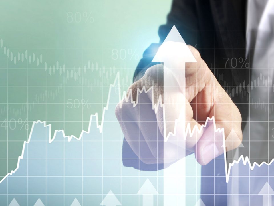Revenue and profitability escher